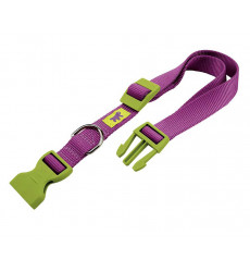 Ошейник Для Собак Мелких Пород Ferplast (Ферпласт) Club Colours С 23-32см 1см 10/32 Фиалковый 