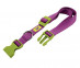 Ошейник Для Собак Средних Пород Ferplast (Ферпласт) Club Colours С 30-44см 1,5см 15/44 Фиалковый 