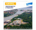  10_Advocate_cat_germany 