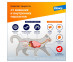  3_Advocate_cat_parasites 