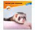  9_Advocate_cat_S_ferret 