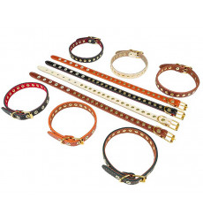 Ошейник Для Собак Brava (Брава) 1см Искусственный Матовый Клепаный №10 Арт655 