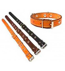 Ошейник Для Собак Брава №12 Искусственный Матовый Украшенный Арт659 