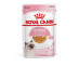 Влажный Корм Royal Canin (Роял Канин) Для Котят Аппетитные Кусочки в Желе Feline Health Nutrition Kitten Jelly 85г (1*12) 