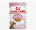 Влажный Корм Royal Canin (Роял Канин) Для Кастрированных и Стерилизованных Котят в Желе Feline Health Nutrition Kitten Sterilised Jelly 85г 