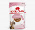 Влажный Корм Royal Canin (Роял Канин) Для Кастрированных и Стерилизованных Котят в Соусе Feline Health Nutrition Kitten Sterilised Gravy 85г 