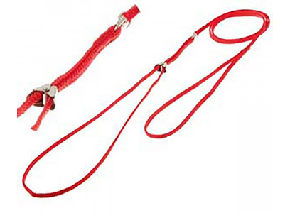 Ринговка Для Собак Hello Pet (Хелло Пет) с Прищепкой 0,5*115см Красная Peq-05r