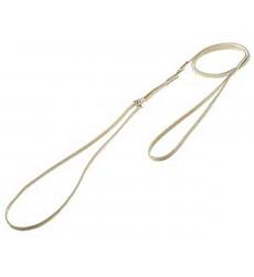 Ринговка Для Собак Hello Pet (Хелло Пет) с Прищепкой 0,8*115см Кэмел Peq-08с