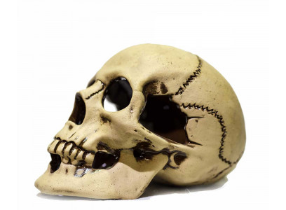 Грот Для Аквариума Череп Большой 22*14*15см Gg-809688