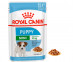 Влажный Корм Royal Canin (Роял Канин) Для Щенков Мелких Пород в Соусе Mini Puppy 85г 