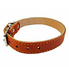 Ошейник Для Собак BraVa (Брава) 2,5см №25 2слоя Не Украшенный Арт041