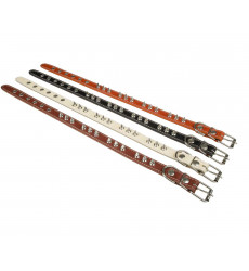 Ошейник Для Собак BraVa (Брава) 2,5см с Подкладом с Шипами №25 Арт052