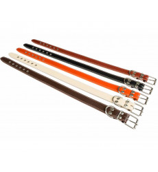 Ошейник Для Собак Брава №36 2 Слоя Не Украшенный Арт076