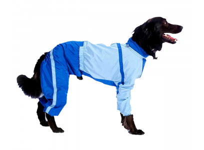 Комбинезон Для Собак Породы  Бассенджи Женский Тузик Теплый