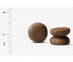  02_crocrets-(4) 