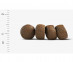  02_crocrets_03 