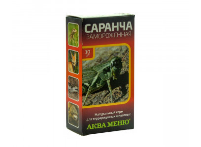 Саранча Замороженная 10шт
