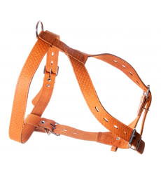 Шлейка Кожа 30мм Большая Zoonik (Зооник) 1410 