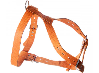 Шлейка Кожа 30мм Большая Zoonik (Зооник) 1410 