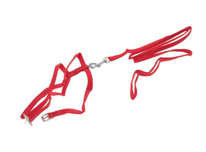 Комплект Поводок и Шлея Для Кошек Биосфера Капрон