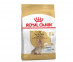 Сухой Корм Royal Canin (Роял Канин) Для Пожилых Собак Породы Йоркширский Терьер Старше 8 Лет Yorkshire Terrier Adult 8+ 1,5кг 