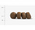  02_crocrets_03 