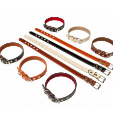 Ошейник Для Собак Брава №20 с Подкладом Не Украшенный Арт017