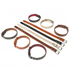 Ошейник Для Собак Брава №20 с Подкладом Клепаный Арт026