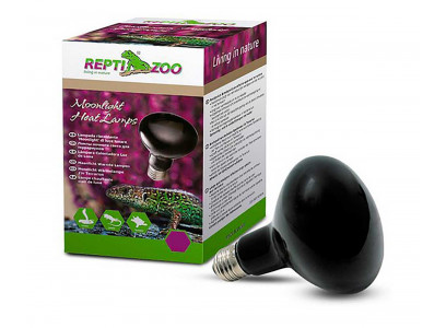 Лампа Для Террариума Repti Zoo Reptinightglow 100Вт Ночная D80100 83725016