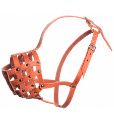 Намордник Кожа №Р Ротвейлер Zoonik (Зооник) 12116