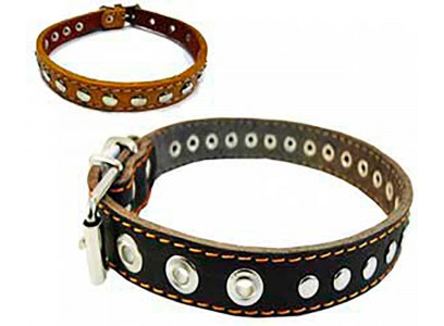 Ошейник Для Собак Мелких и Средних Пород Брава №20 с Подкладом Украшенный Кольцо Посередине Арт615