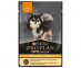 Влажный Корм ProPlan (ПроПлан) Для Собак Мелких Пород Курица в Соусе Adult Chicken 85г (1*24) 