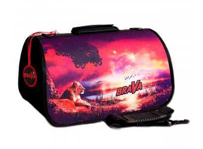 Сумка-Переноска Для Кошек и Собак Мелких Пород Brava (Брава) Сафари 50*25*28см Zd-3-124-322-3 