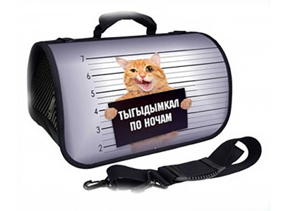 Сумка-Переноска Brava (Брава) Бандит Zd-3-117-322-3 50*25*28см