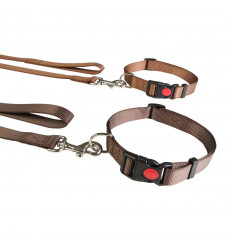 Комплект Brava (Брава) Ошейник+Поводок №20 Нейлон 1,5м-20мм Арт740 