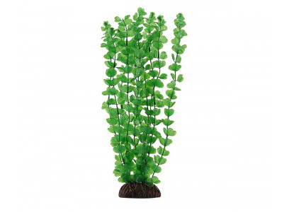 Растение Laguna (Лагуна) Бакопа Зеленая 300мм 74044049