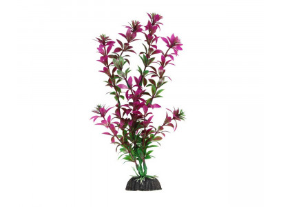 Растение Laguna (Лагуна) Ротала Сиреневая 300мм 74044078