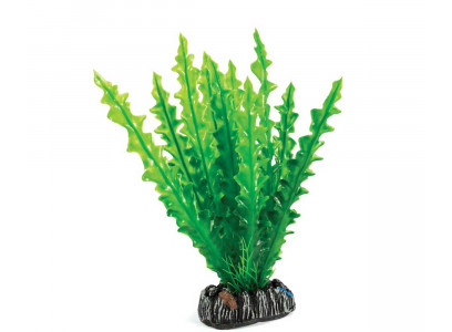 Растение Laguna (Лагуна) Апоногетон 200мм 74044194