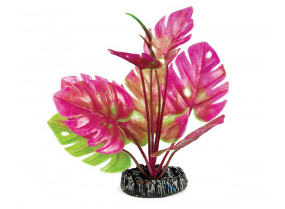 Растение Laguna (Лагуна) Монстера 200мм 74044195