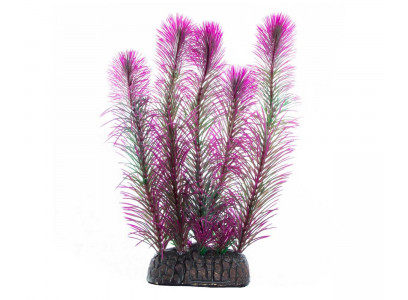 Растение Laguna (Лагуна) Перистолистник Фиолетовый 200мм 74044246