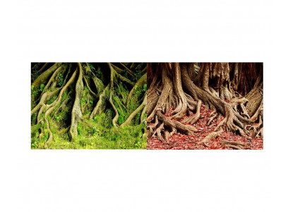 Фон Pr-040911 Двухсторонний Корни с Мохом/Корни с Листьями 50*100см