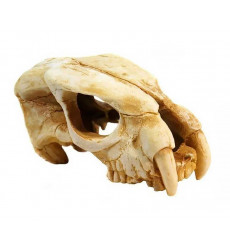 Грот Deksi (Декси) 1001 Череп Динозавра 22*14*11см D259089
