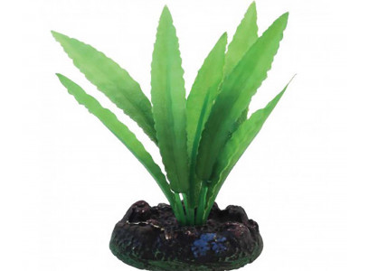 Растение Laguna (Лагуна) Апоногетон 70мм Шелковое 74044169