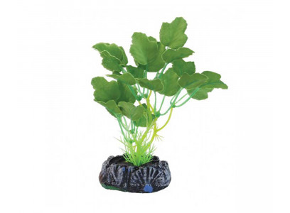 Растение Laguna (Лагуна) Гидрокотила 70мм Шелковое 74044172