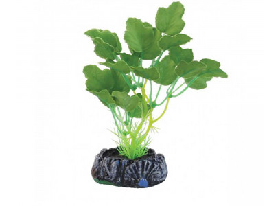 Растение Laguna (Лагуна) Гидрокотила 130мм Шелковое 74044173