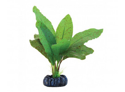 Растение Laguna (Лагуна) Эхинодорус Крапчатый 70мм Шелковое 74044175