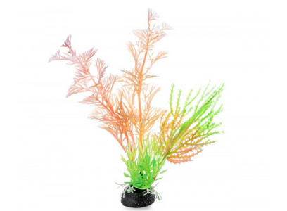 Растение Laguna (Лагуна) Композиция Светящееся Розовое 120мм 74044217 