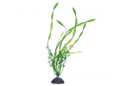 Растение Naribo (Нарибо) Циперус 23см Nr-Js8-110 Пластик 