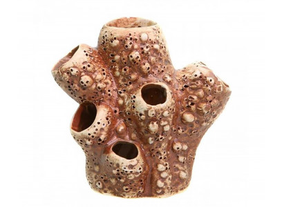 Грот Актиния 57 13*9,5*14см 980058