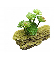 Грот К-3/2 Камень Мадагаскар